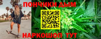 индика Обь