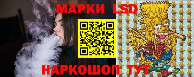 индика Обь