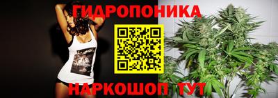 индика Обь