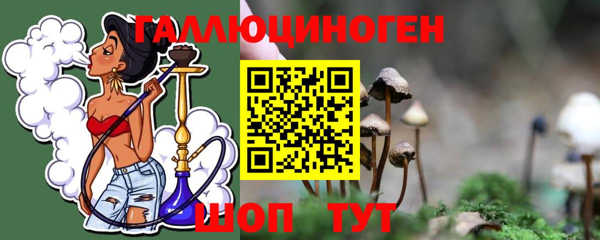 Псилоцибиновые грибы мухоморы Советск