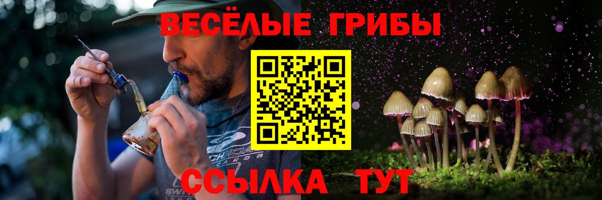 Псилоцибиновые грибы GOLDEN TEACHER  продажа наркотиков  Советск  Вход с VPN 
