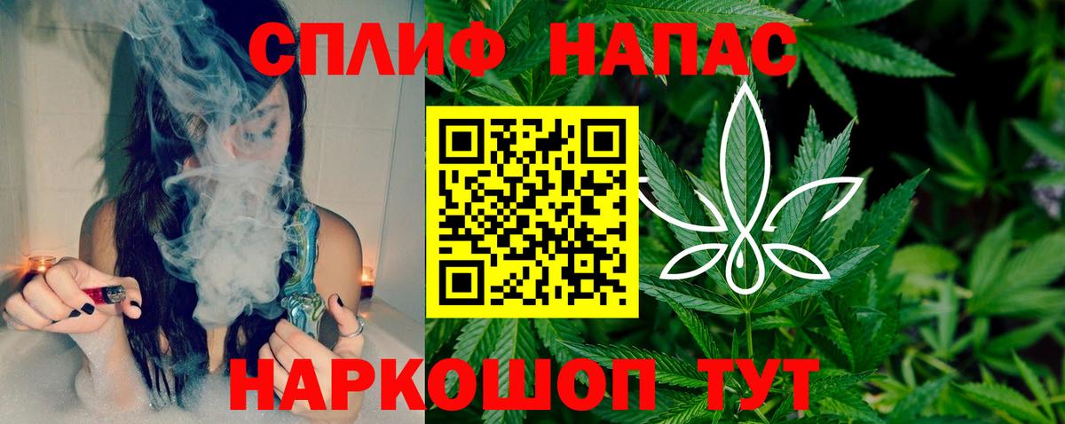 Канабис SATIVA & INDICA Советск